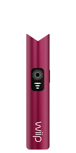 Wiip Magnetic II Red