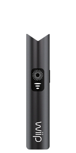 Wiip Magnetic II Black